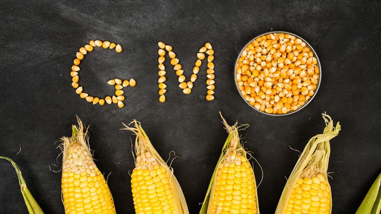 گواهینامه Non-GMO و محصولات غیرتراریخته